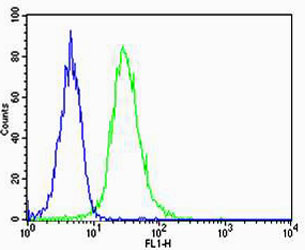Flow cytometric analysis of U-87 MG cells using Park7 (DJ-1) Antibody(green, Cat#AN1230) compared to an isotype control of rabbit IgG(blue). AN1230 was diluted at 1:500 dilution. An Alexa Fluor® 488 goat anti-rabbit lgG at 1:400 dilution was used as the secondary antibody.