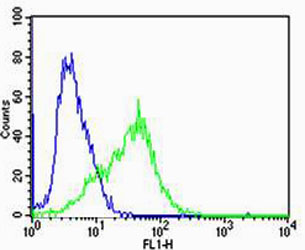 Flow cytometric analysis of Jurkat cells using CHRNA9 Antibody (N-term)(green, Cat#AP20598a) compared to an isotype control of rabbit IgG(blue). AP20598a was diluted at 1:25 dilution. An Alexa Fluor® 488 goat anti-rabbit lgG at 1:400 dilution was used as the secondary antibody.