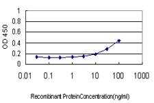 Detection limit for recombinant GST tagged RPL19 is approximately 3ng/ml as a capture antibody.