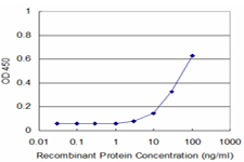 Detection limit for recombinant GST tagged PCDHA12 is approximately 3ng/ml as a capture antibody.