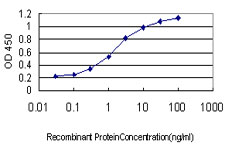 Detection limit for recombinant GST tagged RNU3IP2 is approximately 0.1ng/ml as a capture antibody.