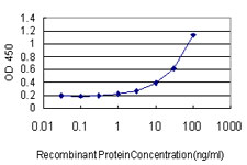 Detection limit for recombinant GST tagged RNMT is approximately 1ng/ml as a capture antibody.