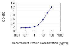 Detection limit for recombinant GST tagged RNF126 is 0.3 ng/ml as a capture antibody.