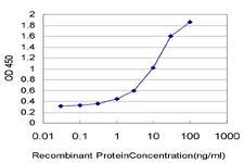 Detection limit for recombinant GST tagged RND2 is approximately 0.1ng/ml as a capture antibody.