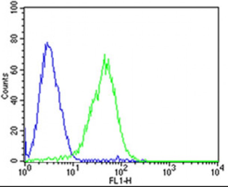 Flow cytometric analysis of HepG2 cells using (Mouse) Dlk1 Antibody (C-term)(green, Cat#AP20860c) compared to an isotype control of mouse IgG2b(blue). AP20860c was diluted at 1:25 dilution. An Alexa Fluor® 488 goat anti-mouse lgG at 1:400 dilution was used as the secondary antibody.