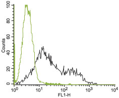 Indirect flow cytometry analysis of human chronic myelogenous leukemia (K562) cells: ___ Unstained cells + goat-anti-rabbit-FITC. Black Cells + Anti-KV11.1 (HERG) (extracellular) antibody (#AG1102) + goat-anti-rabbit-FITC.