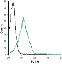 Indirect flow cytometry analysis of Jurkat living cells: ___ Unstained cells.___ Cells + Anti-Zinc-Activated Channel (ZAC) (extracellular) antibody (#AG1001), (5-10 µg/1x106 cells).