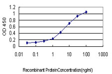 Detection limit for recombinant GST tagged RGL1 is approximately 0.1ng/ml as a capture antibody.