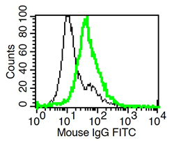 Detection of endogenous mouse IL-1R2 with IL-1R2 (mouse), mAb (rec.) (Praxy-1-1) . Method: In vitro-cultivated BMN (mouse Neutrophils) (stimulated 24h with hydrocortisone) were stained with IL-1R2 (mouse), mAb (rec.) (Praxy-1-1) (thick green line) or an isotype control (thin black line) at 5ug/ml each, revealed with a secondary anti-mouse antibody (FITC) and then analyzed by flow cytometry.
