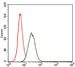Figure 3: Flow cytometric analysis of HeLa cells using RAP1A mouse mAb (green) and negative control (red).