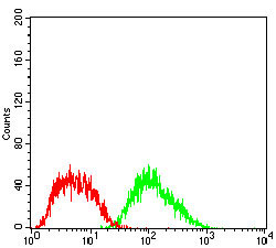 Figure 4: Flow cytometric analysis of HepG2 cells using FTL mouse mAb (green) and negative control (red).