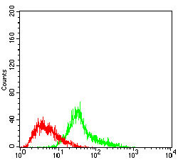 Figure 3: Flow cytometric analysis of Hela cells using MEN1 mouse mAb (green) and negative control (red).