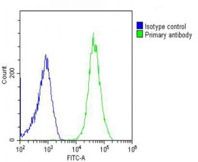Overlay histogram showing U-2OS cells stained with AP11810a (green line). The cells were fixed with 2% paraformaldehyde (10 min) and then permeabilized with 90% methanol for 10 min. The cells were then icubated in 2% bovine serum albumin to block non-specific protein-protein interactions followed by the antibody (AP11810a, 1:25 dilution) for 60 min at 37ºC. The secondary antibody used was Goat-Anti-Rabbit IgG, DyLight® 488 Conjugated Highly Cross-Adsorbed(OH191631) at 1/200 dilution for 40 min at 37ºC. Isotype control antibody (blue line) was rabbit IgG (1μg/1x10^6 cells) used under the same conditions. Acquisition of >10, 000 events was performed.