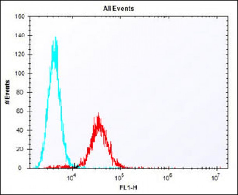 Overlay histogram showing F9 cells stained with AP21040a (red line). The cells were fixed with 2% paraformaldehyde (10 min) and then permeabilized with 90% methanol for 10 min. The cells were then icubated in 2% bovine serum albumin to block non-specific protein-protein interactions followed by the antibody (AP21040a, 1:25 dilution) for 60 min at 37ºC. The secondary antibody used was Alexa Fluor® 488 goat anti-rabbit lgG (H+L) (1583138) at 1/400 dilution for 40 min at 37ºC. Isotype control antibody (blue line) was rabbit IgG1 (1μg/1x10^6 cells) used under the same conditions. Acquisition of >10, 000 events was performed.