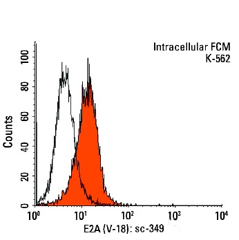 E2A (V-18): sc-349. Indirect, intracellular FCM analysis of fixed and permeabilized K-562 cells stained with E2A (V-18), followed by PE-conjugated goat anti-rabbit IgG: sc-3739. Black line histogram represents the isotype control, normal rabbit IgG: sc-3888.