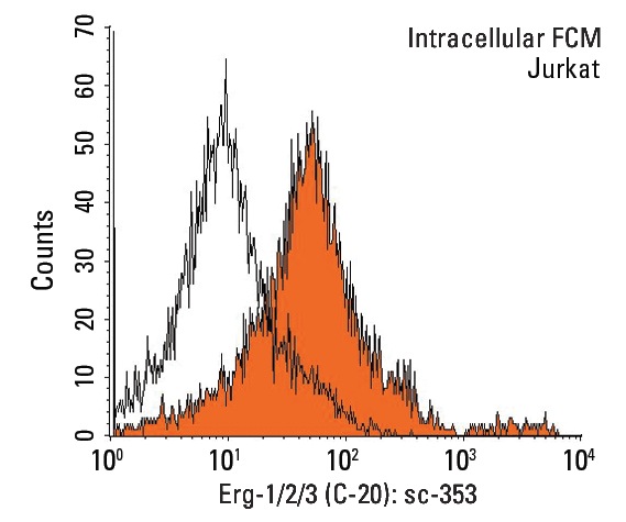 Erg-1/2/3 (C-20): sc-353. Indirect, intracellular FCM analysis of fixed and permeabilized Jurkat cells stained with Erg-1/2/3 (C-20), followed by PE-conjugated goat anti-rabbit IgG: sc-3739. Black line histogram represents the isotype control, normal rabbit IgG: sc-3888.