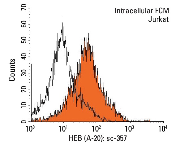 HEB (A-20): sc-357. Indirect, intracellular FCM analysis of fixed and permeabilized Jurkat cells stained with HEB (A-20), followed by PE-conjugated goat anti-rabbit IgG: sc-3739. Black line histogram represents the isotype control, normal rabbit IgG: sc-3888.