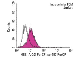 HEB (A-20): sc-357. Indirect, intracellular FCM analysis of fixed and permeabilized Jurkat cells stained with HEB (A-20), followed by PerCP-conjugated mouse anti-rabbit IgG: sc-45098. Black line histogram represents the isotype control, normal rabbit IgG: sc-3888.