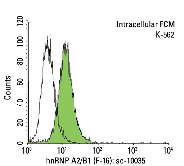 hnRNP A2/B1 (F-16): sc-10035. Indirect, intracellular FCM analysis of fixed and permeabilized K-562 cells stained with hnRNP A2/B1 (F-16), followed by FITC-conjugated donkey anti-goat IgG: sc-2024. Black line histogram represents the isotype control, normal goat IgG: sc-3887.