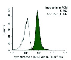 cytochrome c (6H2) Alexa Fluor 647: sc-13561 AF647. Intracellular FCM analysis of fixed and permeabilized K-562 cells. Black line histogram represents the isotype control, normal mouse IgG<sub>1</sub>: sc-24636.