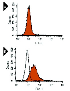 FAS-L (NOK-1): sc-19681. Indirect FCM analysis of L5178Y-human FAS-L stable transfectant cell line (B) and non-transfected L5178Y cells (A). Cells were treated with metalloproteinase inhibitor BB94 and stained with FAS-L (NOK-1) (orange), followed by PE-conjugated goat anti-mouse IgG. Clear line histograms represent the isotype control, normal mouse IgG<sub>1</sub>. Data kindly provided by Dr. Hideo Yagita at Juntendo University School of Medicine.