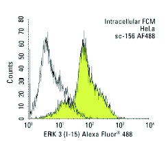 ERK 3 (I-15) Alexa Fluor 488: sc-156 AF488. Intracellular FCM analysis of fixed and permeabilized HeLa cells. Black line histogram represents the isotype control, normal rabbit IgG: sc-45068.