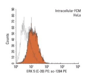 ERK 5 (C-20) PE: sc-1284 PE. Intracellular FCM analysis of fixed and permeabilized HeLa cells. Black line histogram represents the isotype control, normal goat IgG: sc-3992.