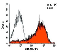 JNK (FL) PE: sc-571 PE. Intracellular FCM analysis of fixed and permeabilized A431 cells. Black line histogram represents the isotype control, normal rabbit IgG: sc-3871.