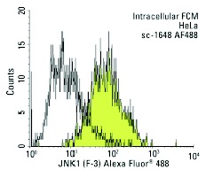 JNK1 (F-3) Alexa Fluor 488: sc-1648 AF488. Intracellular FCM analysis of fixed and permeabilized HeLa cells. Black line histogram represents the isotype control, normal mouse IgG<sub>1</sub>: sc-3890.