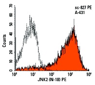 JNK2 (N-18) PE: sc-827 PE. Intracellular FCM analysis of fixed and permeabilized A431 cells. Black line histogram represents the isotype control, normal rabbit IgG: sc-3871.