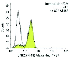 JNK2 (N-18) Alexa Fluor 488: sc-827 AF488. Intracellular FCM analysis of fixed and permeabilized HeLa cells. Black line histogram represents the isotype control, normal rabbit IgG: sc-45068.