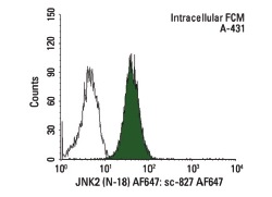 JNK2 (N-18) AF647: sc-827 AF647. Intracellular FCM analysis of fixed and permeabilized A-431 cells. Black line histogram represents the isotype control, normal rabbit IgG: sc-24647.