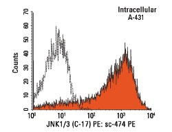 JNK1/3 (C-17) PE: sc-474 PE. Intracellular FCM analysis of fixed and permeabilized A-431 cells. Black line histogram represents the isotype control, normal rabbit IgG: sc-3871.