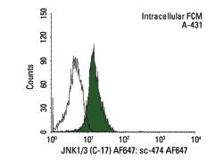 JNK1/3 (C-17) AF647: sc-474 AF647. Intracellular FCM analysis of fixed and permeabilized A-431 cells. Black line histogram represents the isotype control, normal rabbit IgG: sc-24647.