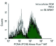PCNA (PC10) Alexa Fluor 647: sc-56 AF647. Intracellular FCM analysis of fixed and permeabilized HeLa cells. Black line histogram represents the isotype control, normal mouse IgG<sub>2a</sub>: sc-24637.