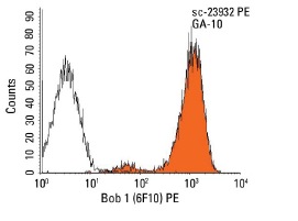 Bob 1 (6F10) PE: sc-23932 PE. Intracellular FCM analysis of fixed and permeabilized GA-10 cells. Black line histogram represents the isotype control, normal rat IgG<sub>2a</sub>: sc-2872.