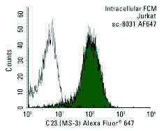 C23 (MS-3) Alexa Fluor 647: sc-8031 AF647. Intracellular FCM analysis of fixed and permeabilized Jurkat cells. Black line histogram represents the isotype control, normal mouse IgG<sub>1</sub>: sc-24636.