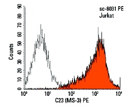 C23 (MS-3) PE: sc-8031 PE. Intracellular FCM analysis of methanol permeabilized Jurkat cells. Solid black line histogram represents control mouse IgG<sub>1</sub>.