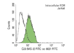 C23 (MS-3) FITC: sc-8031 FITC. Intracellular FCM analysis of fixed and permeabilized Jurkat cells. Black line histogram represents the isotype control, normal mouse IgG<sub>1</sub>: sc-2855.