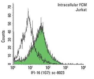 IFI-16 (1G7): sc-8023. Indirect, intracellular FCM analysis of fixed and permeabilized Jurkat cells stained with IFI-16 (1G7), followed by FITC-conjugated goat anti-mouse IgG: sc-2010. Black line histogram represents the isotype control, normal mouse IgG<sub>1</sub>: sc-3877.