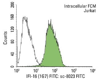 IFI-16 (1G7) FITC: sc-8023 FITC. Intracellular FCM analysis of fixed and permeabilized Jurkat cells. Black line histogram represents the isotype control, normal mouse IgG<sub>1</sub>: sc-2855.