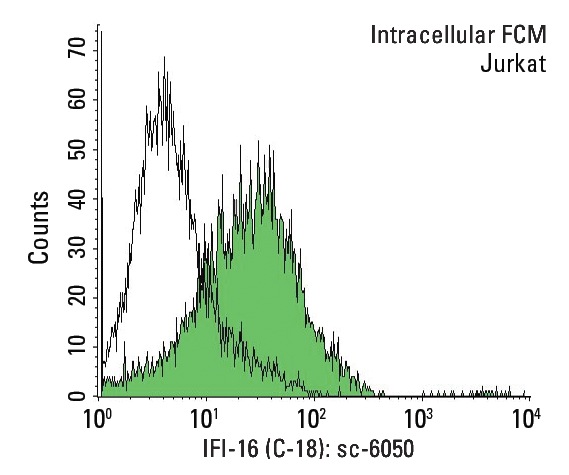 IFI-16 (C-18): sc-6050. Indirect, intracellular FCM analysis of fixed and permeabilized Jurkat cells stained with IFI-16 (C-18), followed by FITC-conjugated donkey anti-goat IgG: sc-2024. Black line histogram represents the isotype control, normal goat IgG: sc-3887.