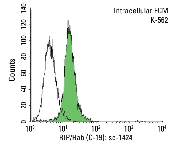 RIP/Rab (C-19): sc-1424. Indirect, intracellular FCM analysis of fixed and permeabilized K-562 cells stained with RIP/Rab (C-19), followed by FITC-conjugated donkey anti-goat IgG: sc-2024. Black line histogram represents the isotype control, normal goat IgG: sc-3887.