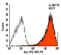 Shc (PG-797) PE: sc-967 PE. Intracellular FCM analysis of fixed and permeabilized MCF7 cells. Black line histogram represents the isotype control, normal mouse IgG<sub>1</sub>: sc-2866.