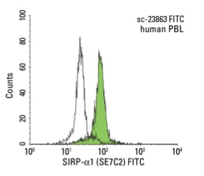 SIRP-α1 (SE7C2) FITC: sc-23863 FITC. FCM analysis of human peripheral blood leukocytes. Black line histogram represents the isotype control, normal mouse IgG<sub>1</sub>: sc-2855.