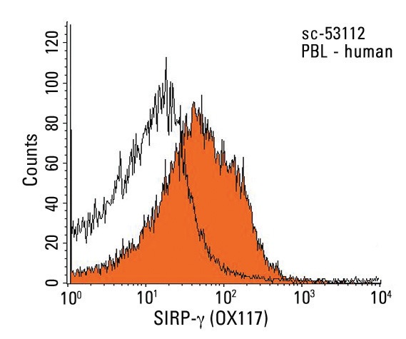SIRP-γ (OX117): sc-53112. Indirect FCM analysis of human peripheral blood leukocytes stained with SIRP-γ (OX117), followed by PE-conjugated goat anti-mouse IgG<sub>1</sub>: sc-3764. Black line histogram represents the isotype control, normal mouse IgG<sub>1</sub>: sc-3877.