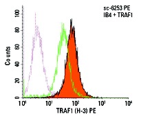 TRAF1 (H-3) PE: sc-6253 PE. Intracellular FCM analysis of fixed and permeabilized control (green line histogram) and TRAF1 transfected (solid orange histogram) IB4 cells. Dotted pink histogram represents the isotype control, normal mouse IgG<sub>1</sub>: sc-2866.