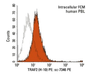 TRAF2 (H-10) PE: sc-7346 PE. Intracellular FCM analysis of fixed and permeabilized human peripheral blood leukocytes. Black line histogram represents the isotype control, normal mouse IgG<sub>1</sub>: sc-2866.
