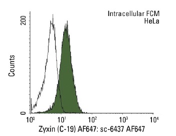 Zyxin (C-19) AF647: sc-6437 AF647. Intracellular FCM analysis of fixed and permeabilized HeLa cells. Black line histogram represents the isotype control, normal goat IgG: sc-45066.