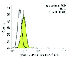 Zyxin (N-19) Alexa Fluor 488: sc-6438 AF488. Intracellular FCM analysis of fixed and permeabilized HeLa cells. Black line histogram represents the isotype control, normal goat IgG: sc-45067.